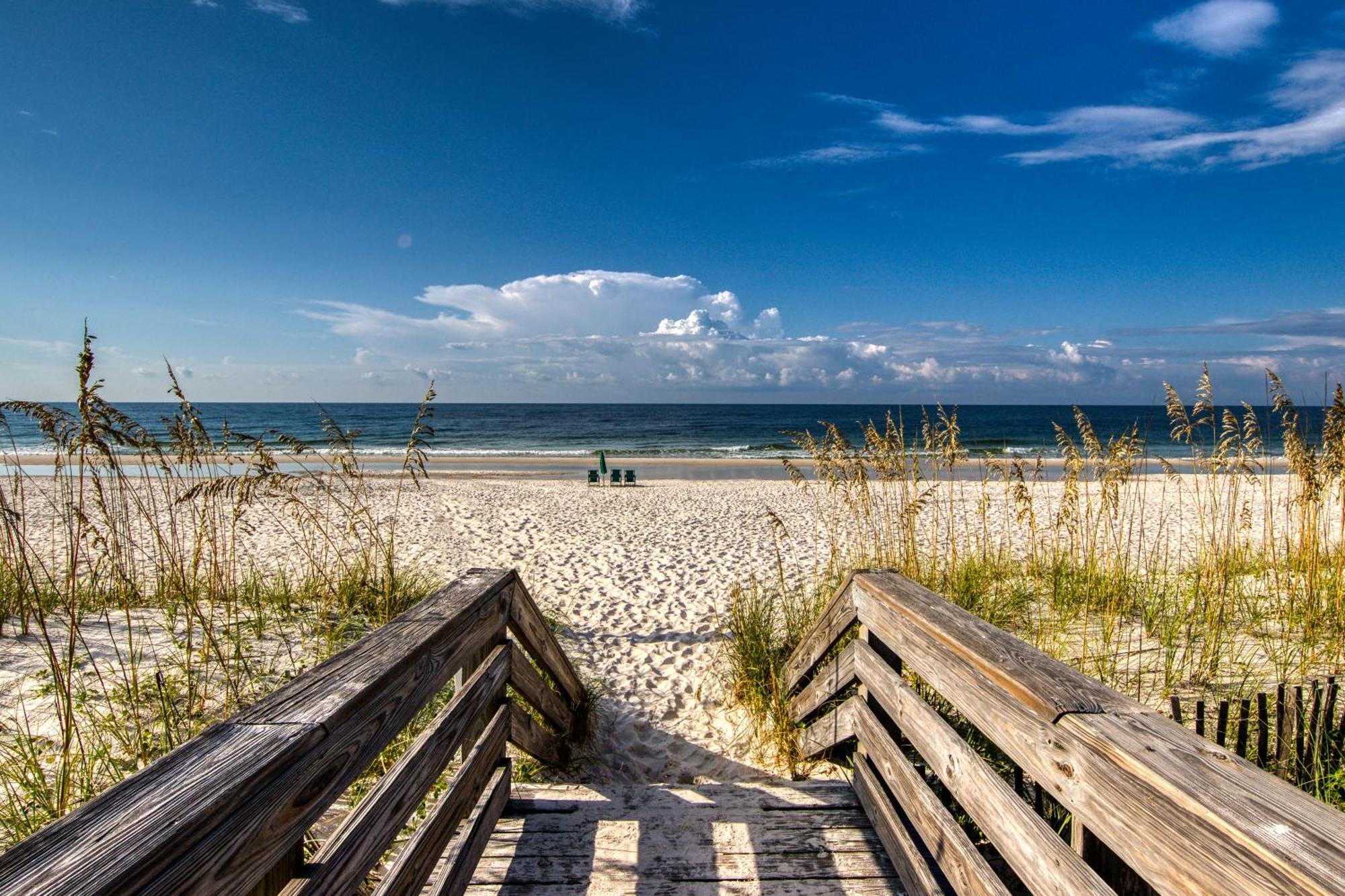 Gulf Shores Surf & Racquet Club Condos II Rum bild